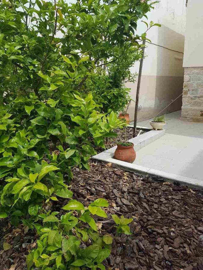 Mangoseaview Home1 Νέα Ρόδα Εξωτερικό φωτογραφία